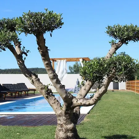 Villa Monte Teo- Casa E Piscina Privada *
