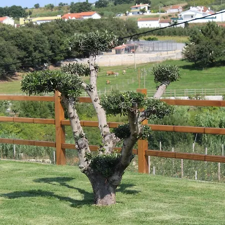 Villa Monte Teo- Casa E Piscina Privada Alcobaca
